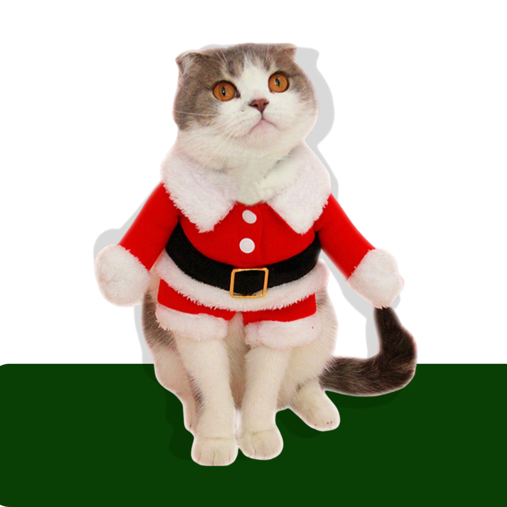 Santa Claws