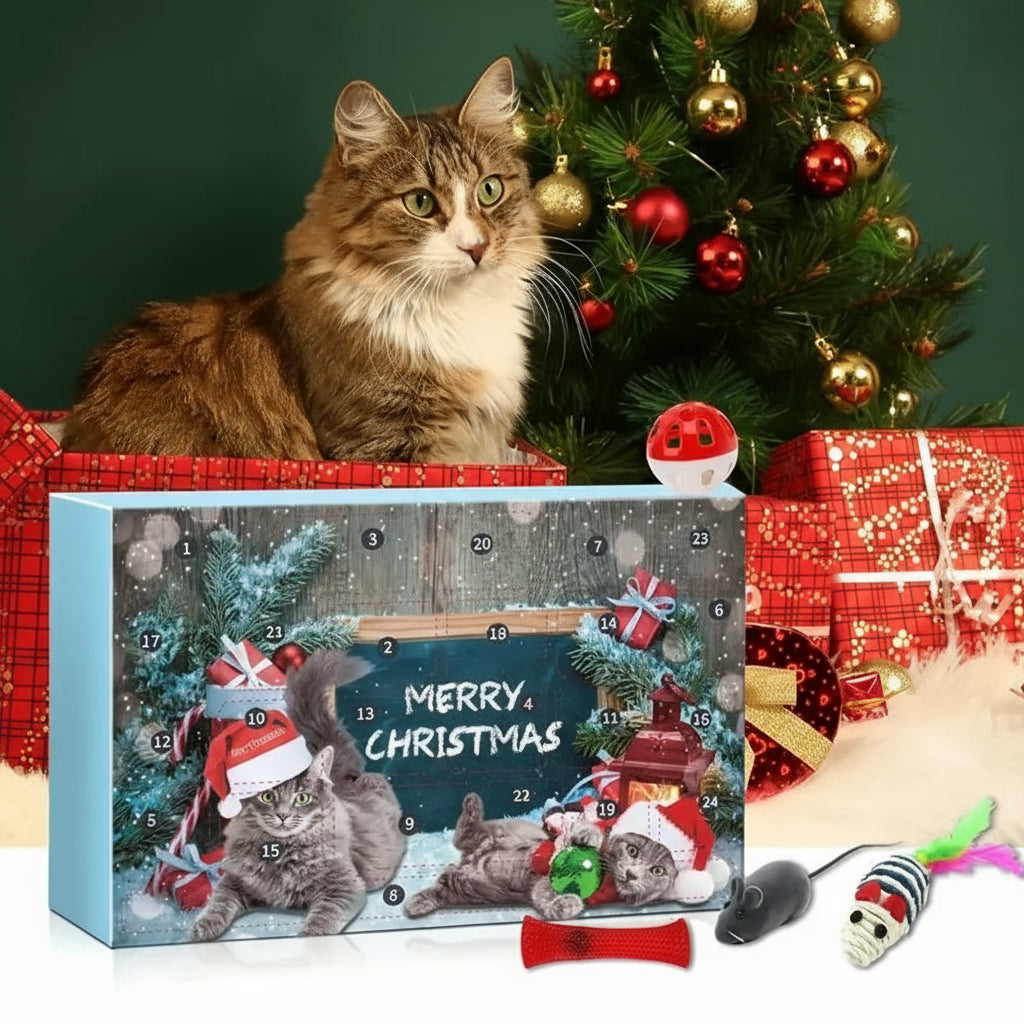 Cat Calendar